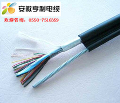 (ZRC-DJF4PGP建瓯市硅橡胶计算机电缆)
